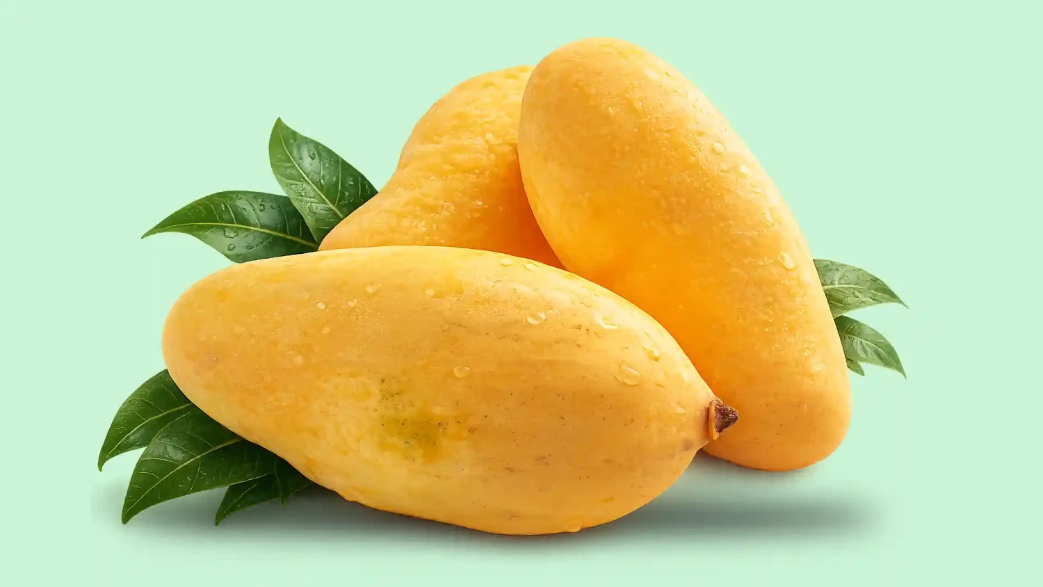 Fresh Pakistani Mango– Experience the King of Fruits Delivered Across Japan